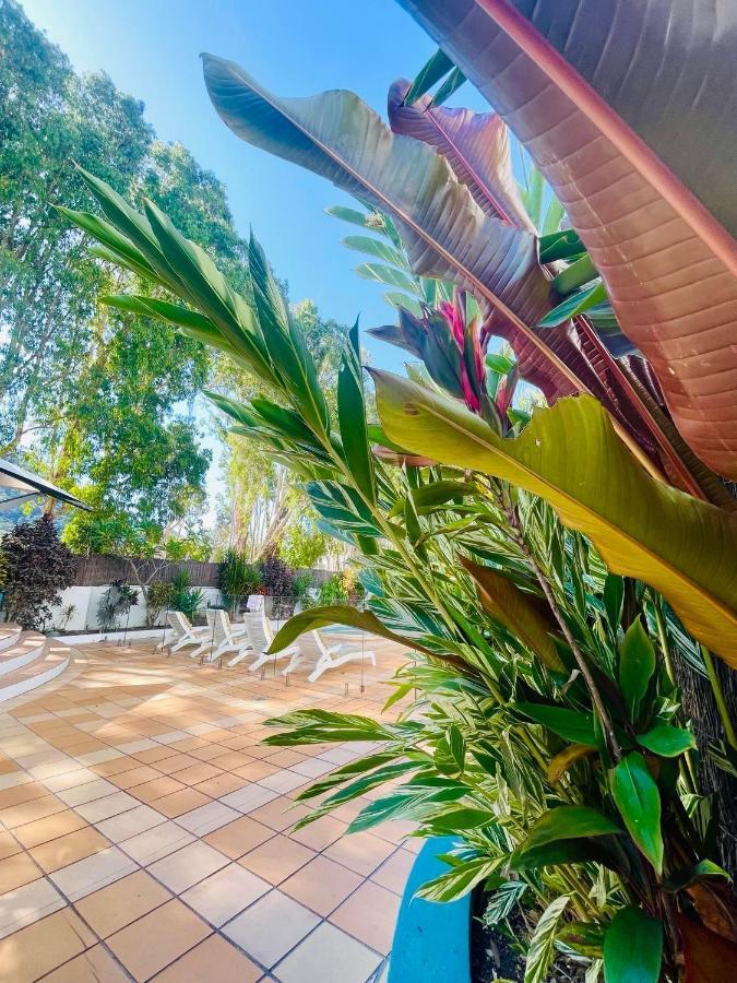 Beachview Apartments At Villa Paradiso Palm Cove Ngoại thất bức ảnh