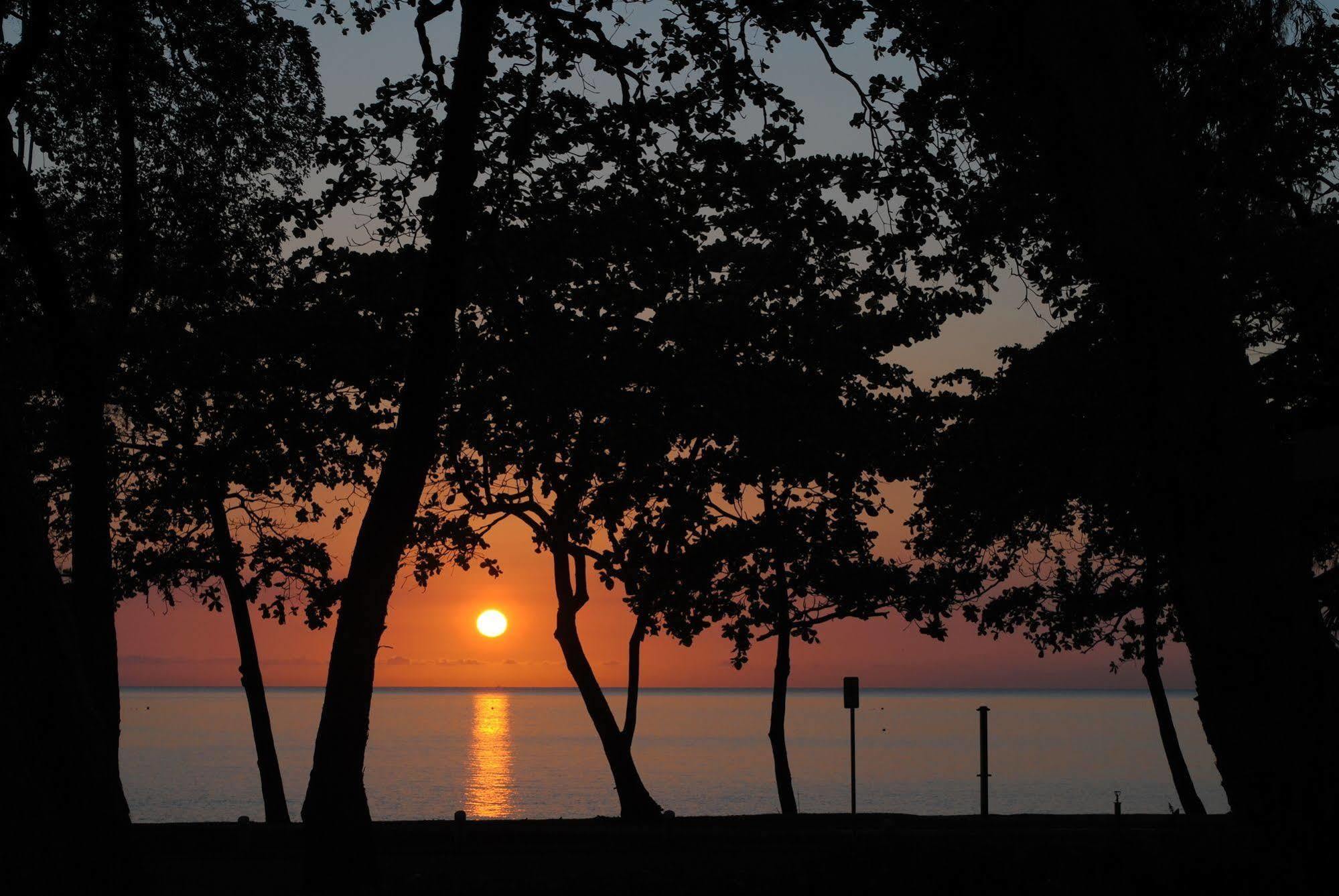 Beachview Apartments At Villa Paradiso Palm Cove Ngoại thất bức ảnh